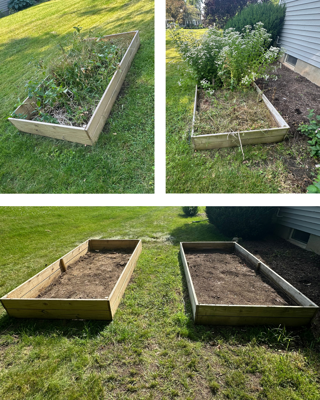 Flower bed before and after