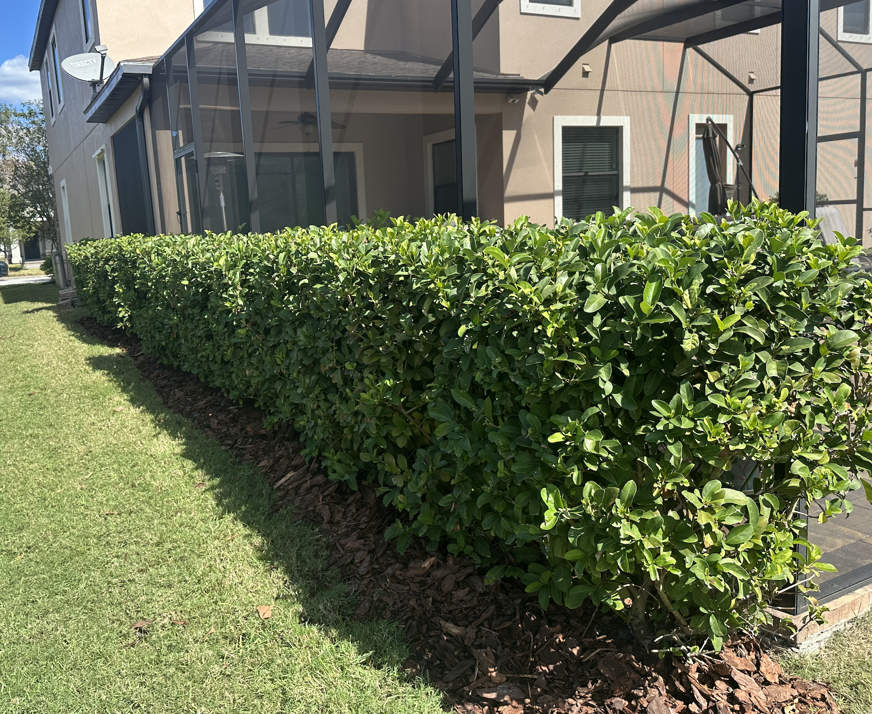 Landscaping with fresh mulch