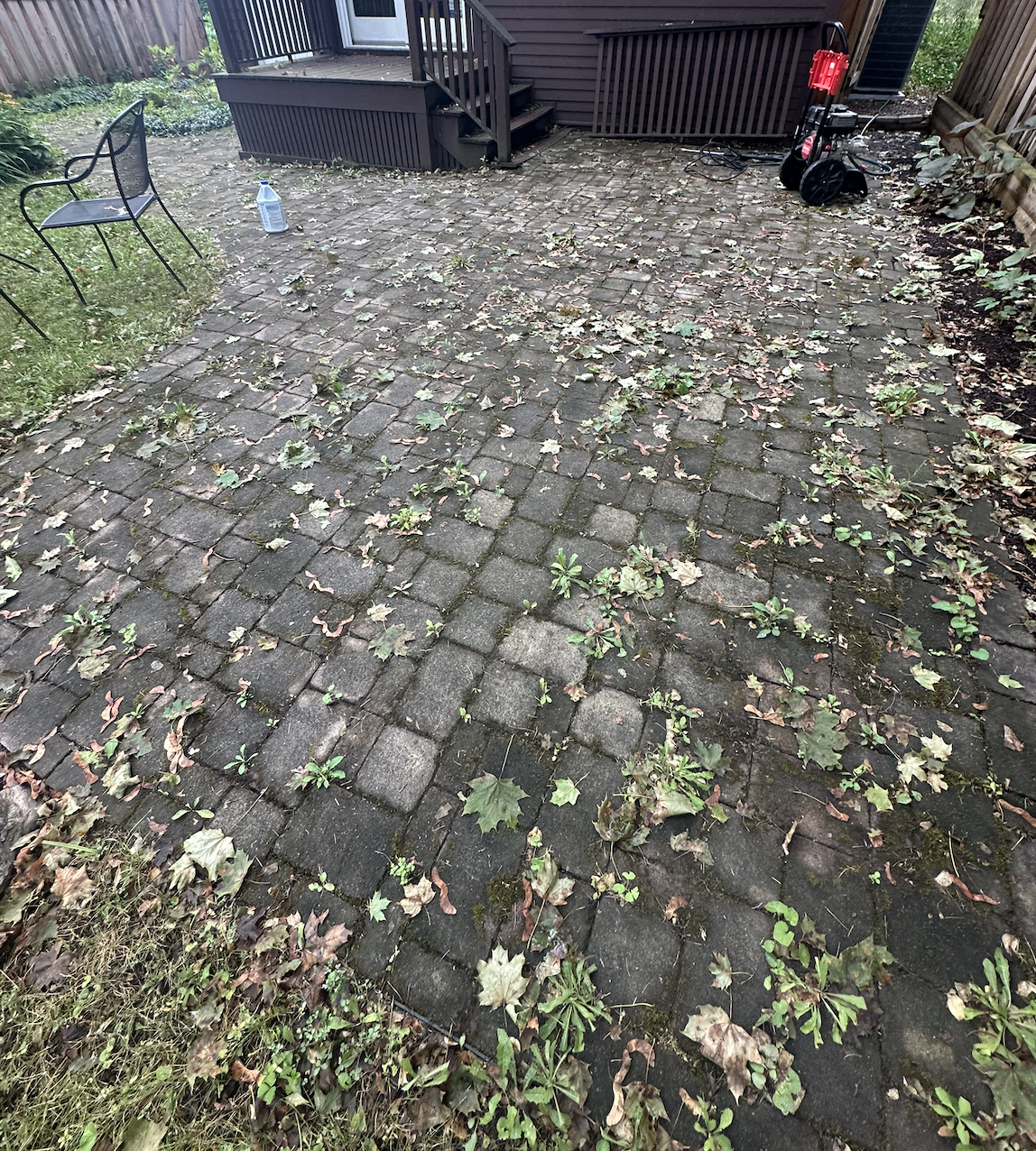 Pavers before